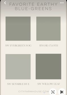 Greyish Green Paint, Green Gray Paint, Soft Green Paint, Green Grey Paint, Greenish Grey, Paint Color Inspiration, Willow Leaf, Gray Paint, Matte Paint