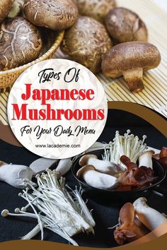 Discover a world of flavor with the diverse types of Japanese Mushrooms! Explore a range of textures and tastes, from meaty Shiitake to sweet Enokitake and savory Maitake. Each type adds a unique touch of umami to any dish, making them a must-try for food enthusiasts. Shimeji Mushroom Recipe, Japanese Izakaya, Japanese Food Traditional, Mushroom Varieties, Maitake Mushroom, Mushroom Salad, How To Make Sushi, Savory Soups, Global Cuisine