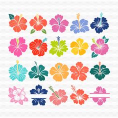 👋 Welcome to OutlineOasis Studio! 🌸  High Quality 20 Hibiscus Svg & Hibiscus Clip art Bundle   Hibiscus Svg | Hibiscus Flower Svg | Flower Svg Bundle | Hawaiian svg | Hibiscus Clip art | Hibiscus | Hawaii Flower | Flower Svg  | Flower Svg File | Hawaiian Flower Svg    🌸 About this Product: Welcome to our comprehensive Hibiscus Flower & Hawaiian Flower Svg Bundle , featuring meticulously crafted 20 Hibiscus Svg & Hibiscus Clip Art design! This Flower Svg File is perfect for a wide range of pro Hibiscus Clip Art, Flower Svg Files, Hawaiian Flowers, Flower Svg, Tropical Floral, Flower Clipart, Cricut Craft Room, Art Bundle, Hibiscus Flowers