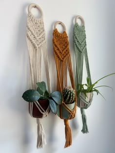 three macrame plant hangers with plants in them on a wall next to each other