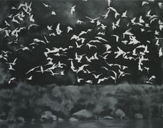 a flock of birds flying over a body of water in front of a dark sky