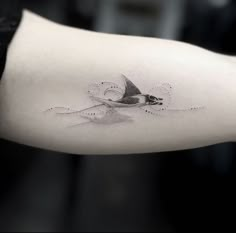 a small bird tattoo on the arm