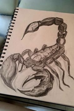 a drawing of a scorpion on paper