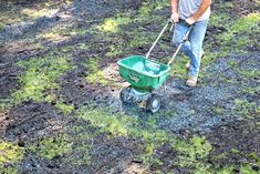 a man is pushing a green wheelbarrow