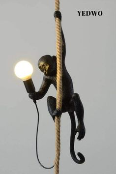 a monkey on a rope with a light