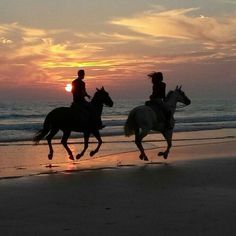 two people riding horses on the beach at sunset