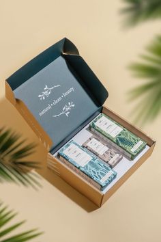 an open box with money sitting on top of a table next to palm leaves and a potted plant