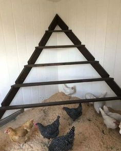 several chickens are standing in the sand under a wooden structure that is made to look like a pyramid