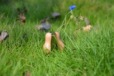 two wooden shoes sitting in the grass near a blue flower