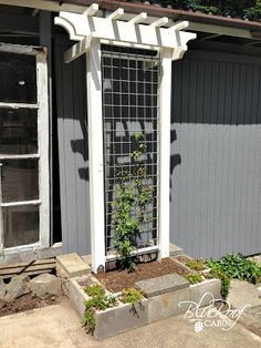 an old window with a trellis on the outside and plants growing in the front