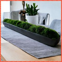 a moss planter is sitting on top of a table