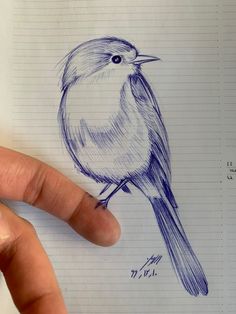 a drawing of a bird is shown on a piece of paper with a hand pointing at it