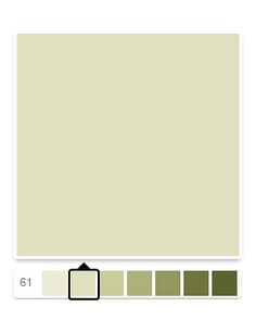 an image of a white and green color scheme