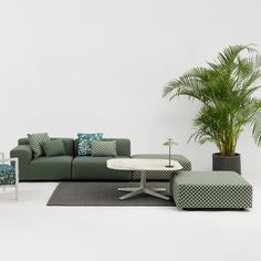 a living room filled with furniture and a potted plant