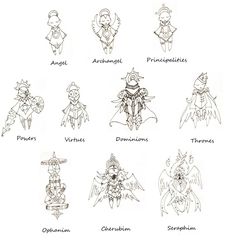 the twelve zodiac signs are drawn in black ink on white paper, and each has different symbols