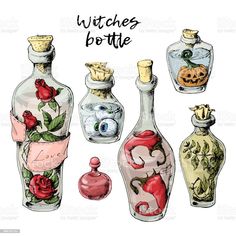 hand drawn bottles with different types of witches and pumpkins on the top one is empty