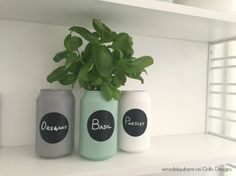 three painted mason jars are sitting on a shelf next to a potted basil plant