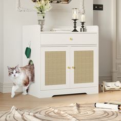 a white cabinet with a brown and white cat in it