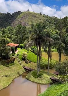 a small pond surrounded by palm trees in the middle of a lush green hillside area