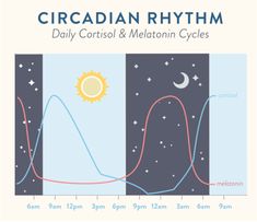 What Is Adrenal Fatigue, The Paleo Mom, Paleo Mom, Nerve Cell, Cortisol Levels, Adrenal Fatigue, Psychology Today, Holistic Healing