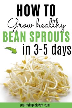 bean sprouts with text overlay how to grow healthy bean sprouts in 3 - 5 days