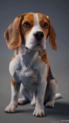 a brown and white dog sitting on top of a gray floor