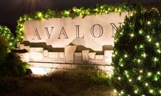 there is a sign with lights on it that says avaloon at night time