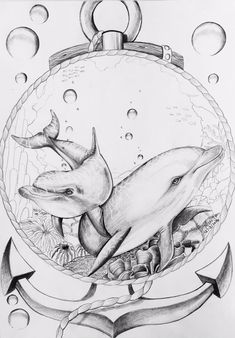 a drawing of two dolphins in an ornament surrounded by fish and marine life