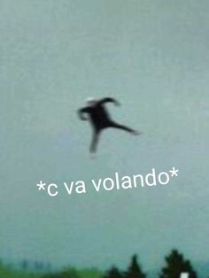 a bird flying in the sky with words above it that say cava volando