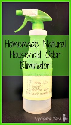 the homemade natural household odor eliminator