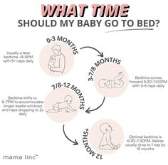 a baby's life cycle is shown in this info sheet, which shows the stages of