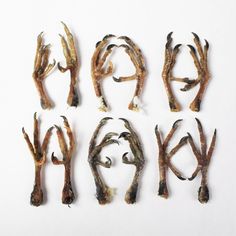 six pieces of dried food arranged in the shape of letters