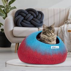 a cat sitting in a red, blue and white ball shaped bed