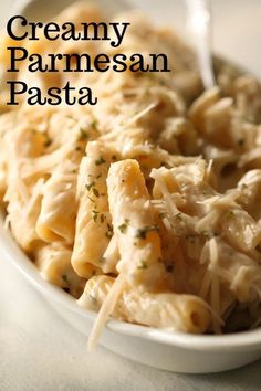 creamy parmesan pasta in a white bowl