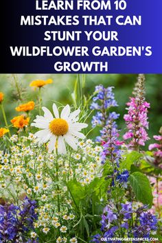 wildflower garden with the words learn from 10 mistakes that can stunt your flower garden's growth