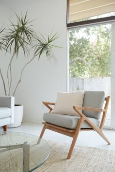 a living room with a glass table, chair and potted plant in the corner