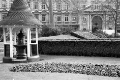 black and white photograph of a gazebo in the middle of a garden with hedges