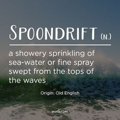 the words spoondrift n d are in front of an ocean wave