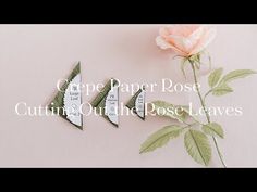 two paper roses sitting next to each other on top of a pink surface with the words cutting out the rose leaves