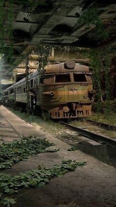 an abandoned train station with green plants growing on the ground and two trains in the background