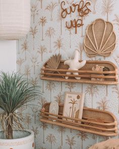 two shelves with pictures and plants on them next to a potted plant in front of a wallpapered wall