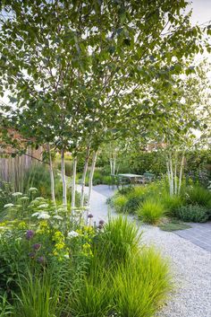 Suffolk Walled Garden | a naturalistic walled garden in East Suffolk Gravel Garden Design, English Landscape Garden, Clay Pavers, Garden Site, Gravel Garden, Walled Garden, Family Garden, Contemporary Garden