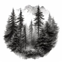 black and white drawing of trees in the woods