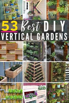 the best diy vertical garden ideas