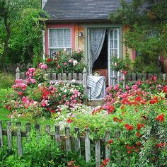 a garden with lots of flowers next to a house