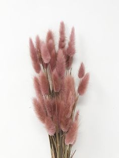 some pink flowers are in a vase on a table