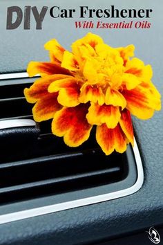 Car Deodorizer, How To Help Nausea, Diy Essential Oils, Car Freshener