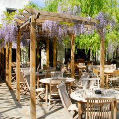 an outdoor dining area with wooden tables and chairs covered by wistery vines in the shade