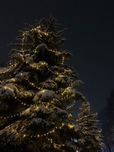 a large christmas tree covered in snow with lights on it's branches at night