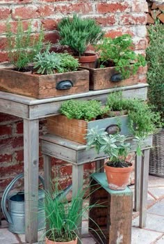 several potted plants sit on top of an old wooden table in front of a brick wall